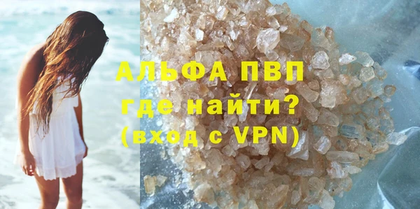 ECSTASY Ельня
