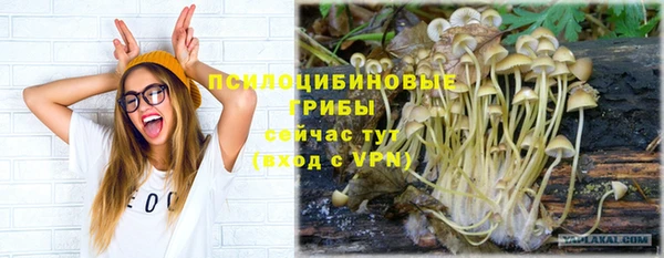 бутират Дмитровск