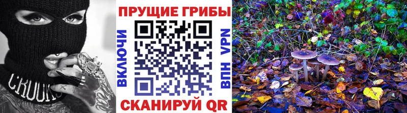 цена   Рубцовск  площадка клад  Галлюциногенные грибы мицелий 
